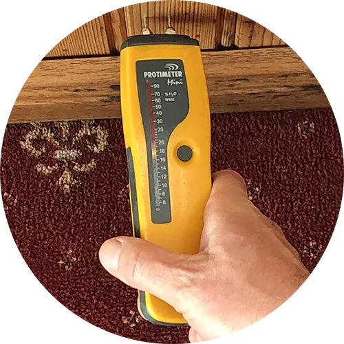 RICS Home Surveys - Moisture sensor