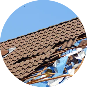 Specialist Surveys and Defect Reports
